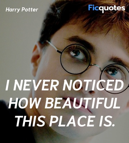 I never noticed how beautiful this place is... quote image